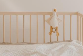 A wooden baby cot with a white muslin sheet and a white duck teddy hanging from the cot bar.
