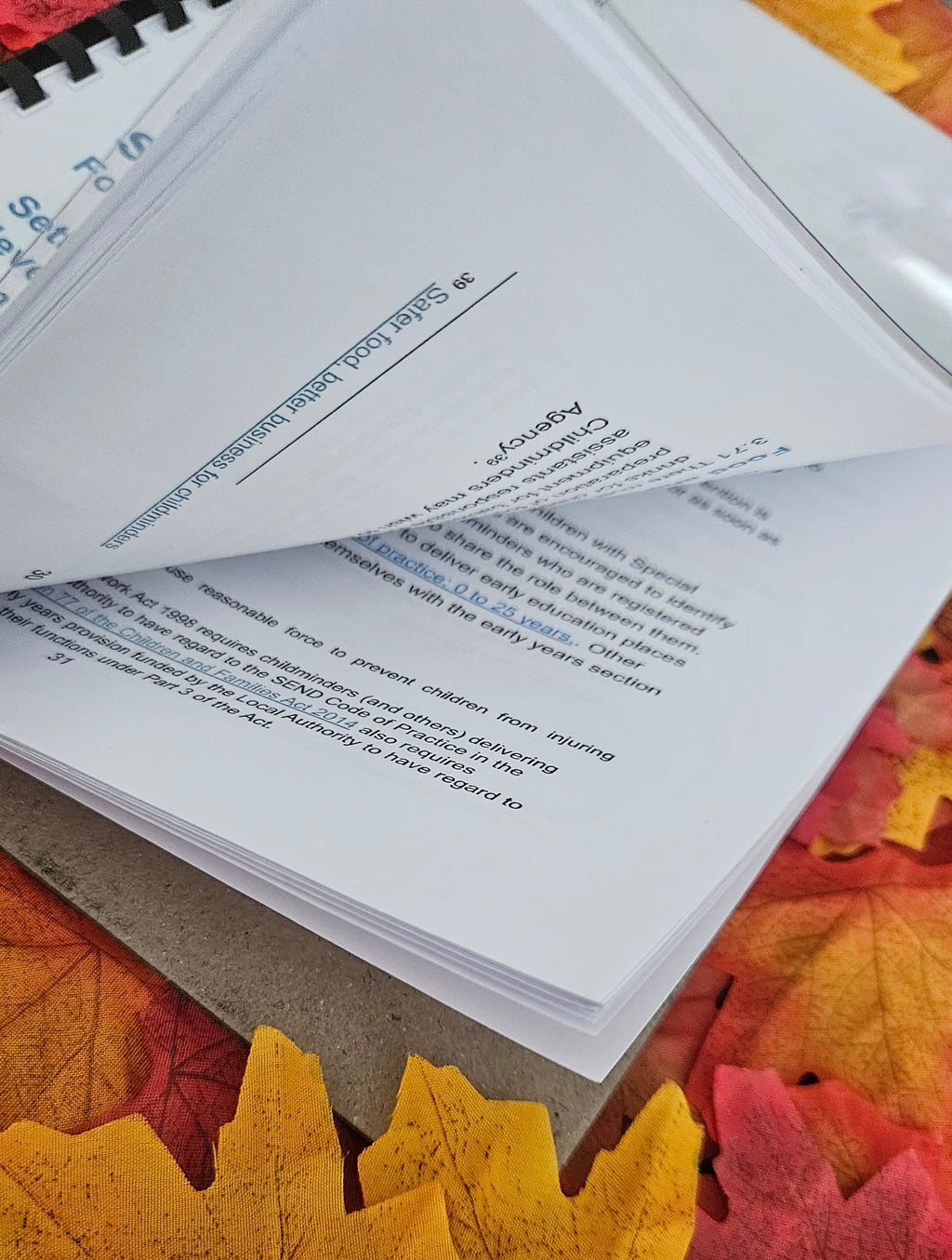 Printed Early Years Qualification Requirements & Standards - Free UK Shipping