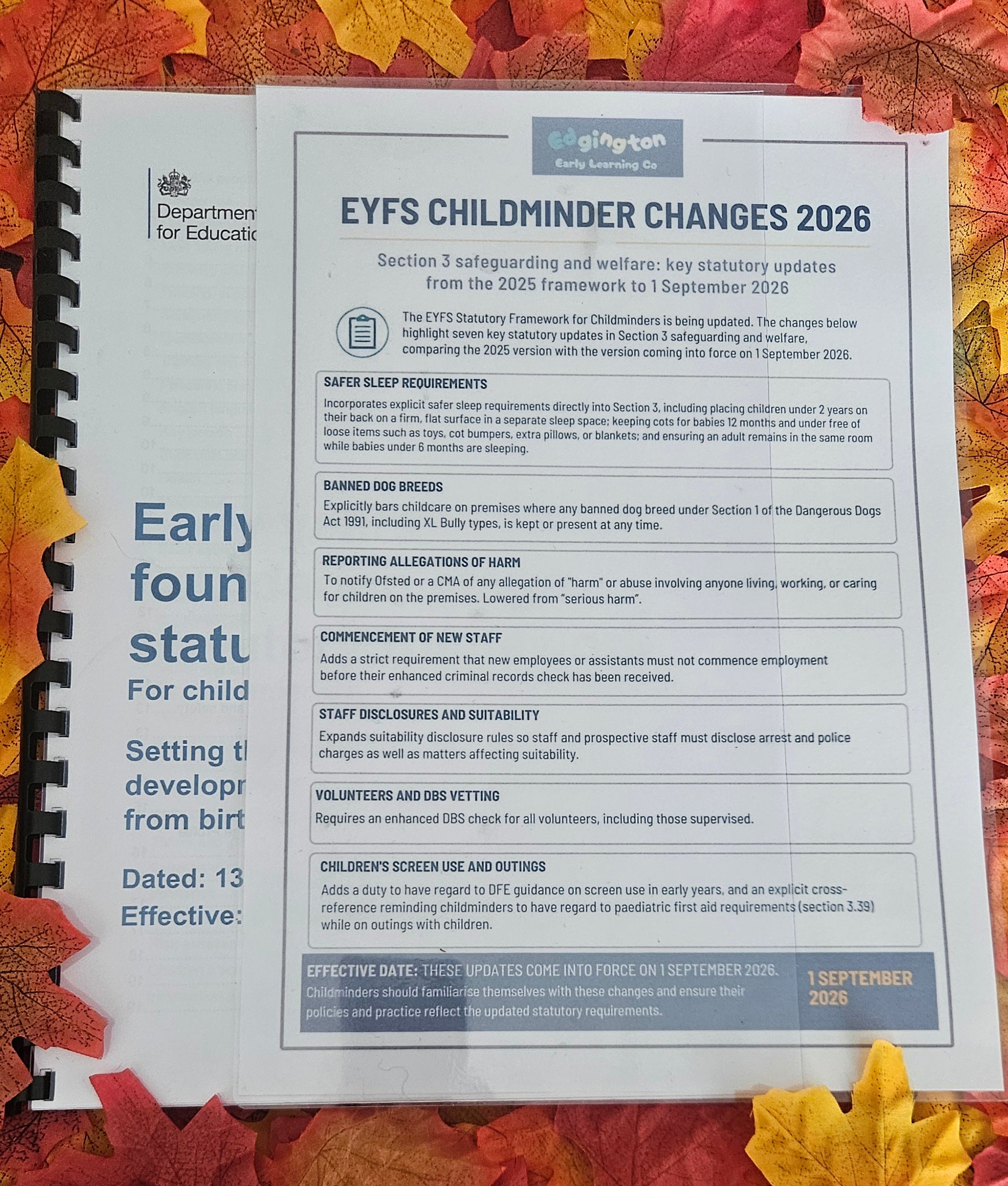 Printed EYFS Framework for Childminders (Sept 2026) + FREE Laminated Section 3 Poster