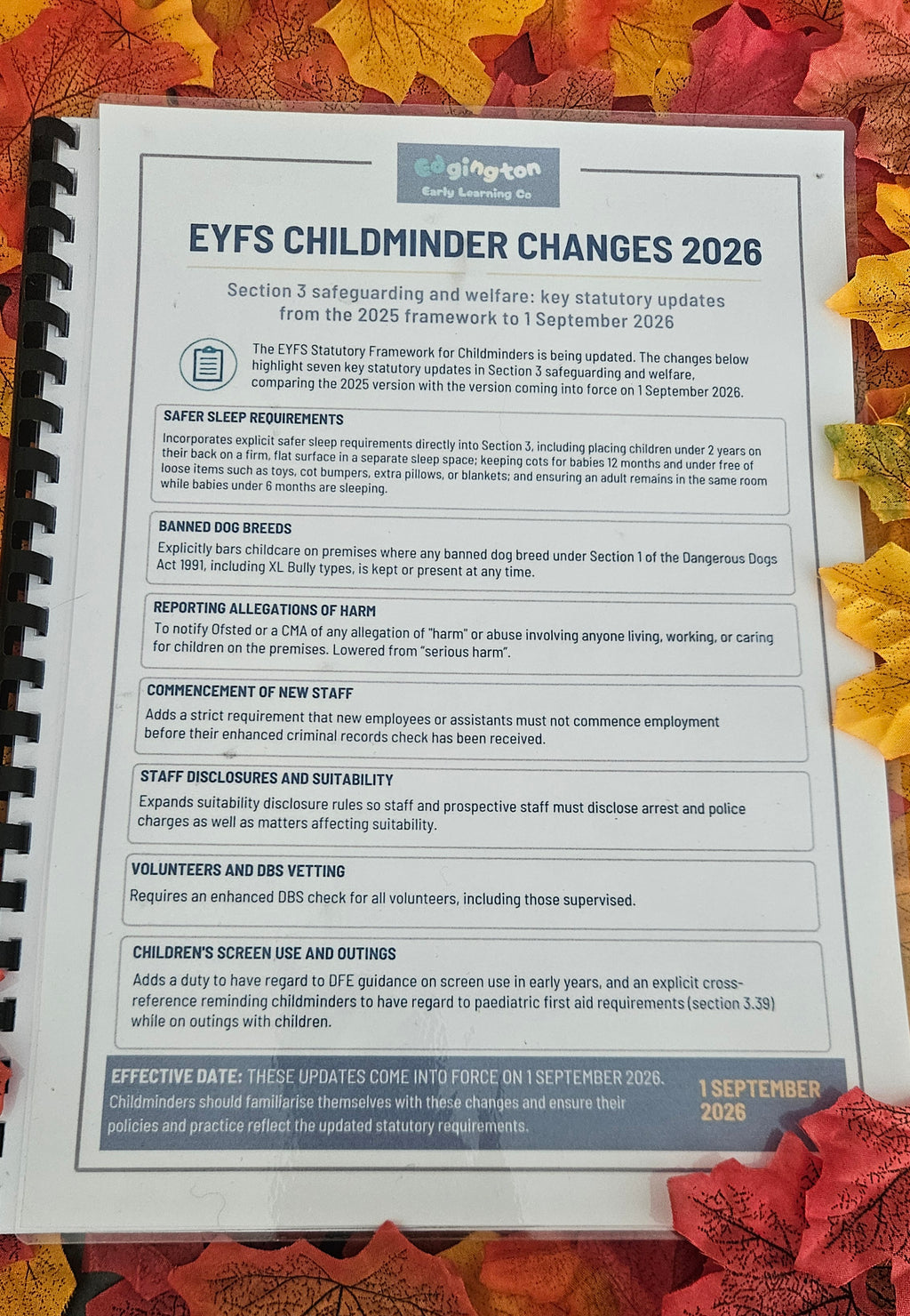 Printed EYFS Framework for Childminders (Sept 2026) + FREE Laminated Section 3 Poster