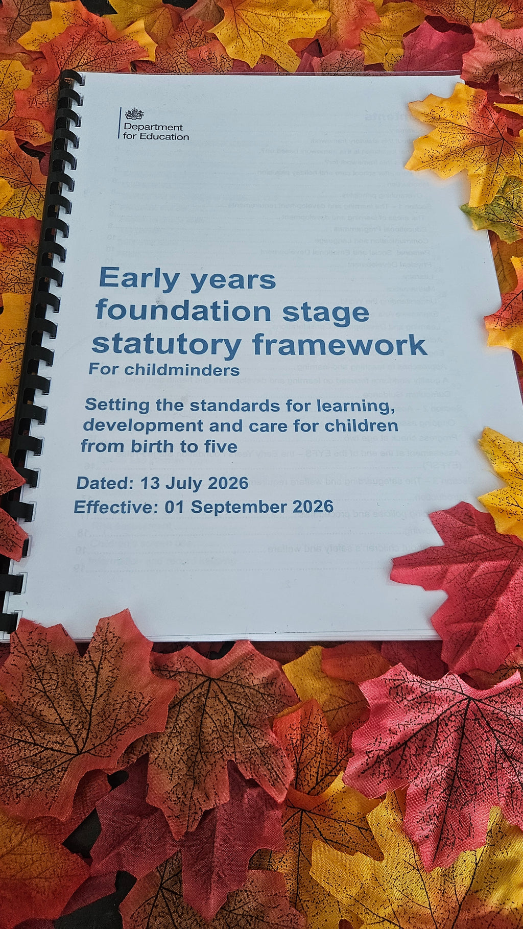 Printed EYFS Framework for Childminders (Sept 2026) + FREE Laminated Section 3 Poster