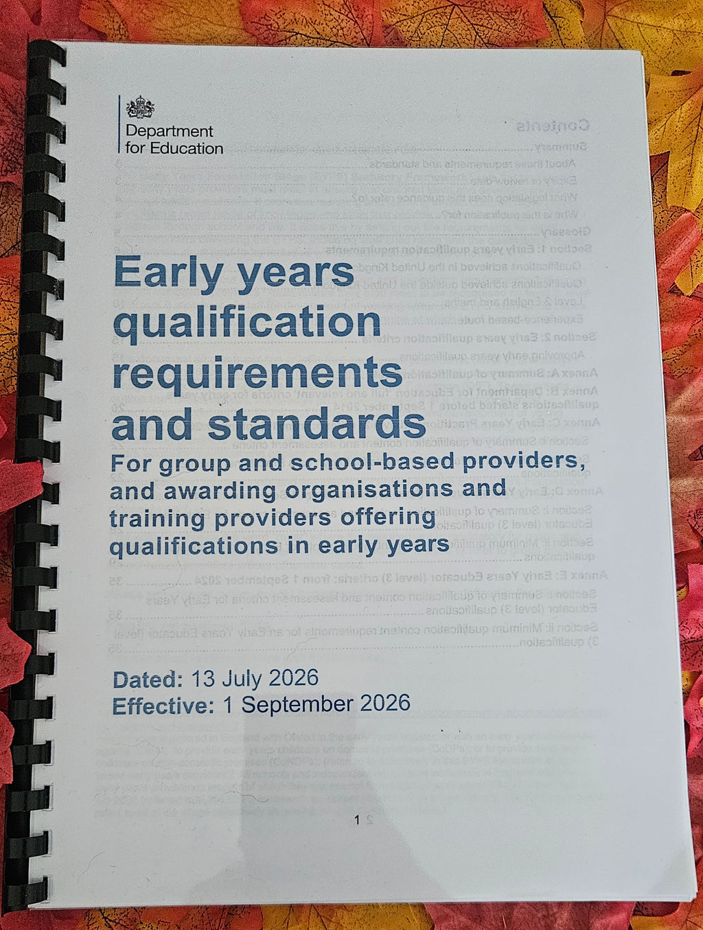 Printed Early Years Qualification Requirements & Standards - Free UK Shipping