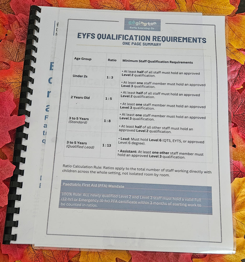 Printed Early Years Qualification Requirements & Standards - Free UK Shipping