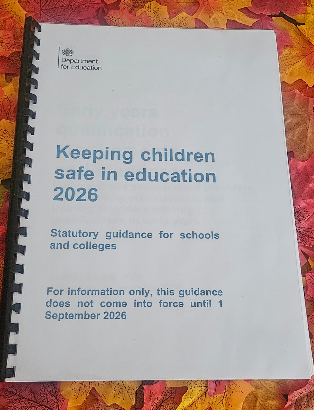 Printed Keeping Children Safe in Education (KCSIE) Handbook | Bound Edition with Free Statutory Updates Summary Sheet & Free Shipping