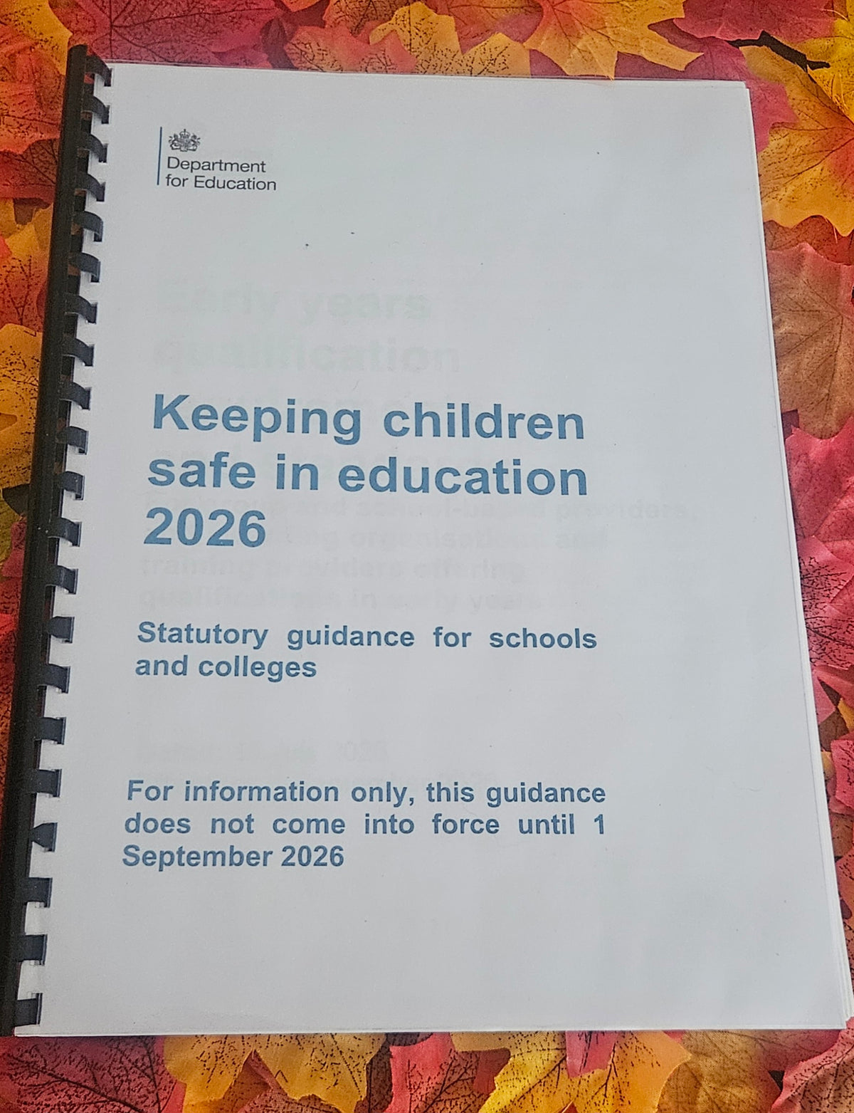 Printed Keeping Children Safe in Education (KCSIE) Handbook | Bound Edition with Free Statutory Updates Summary Sheet & Free Shipping