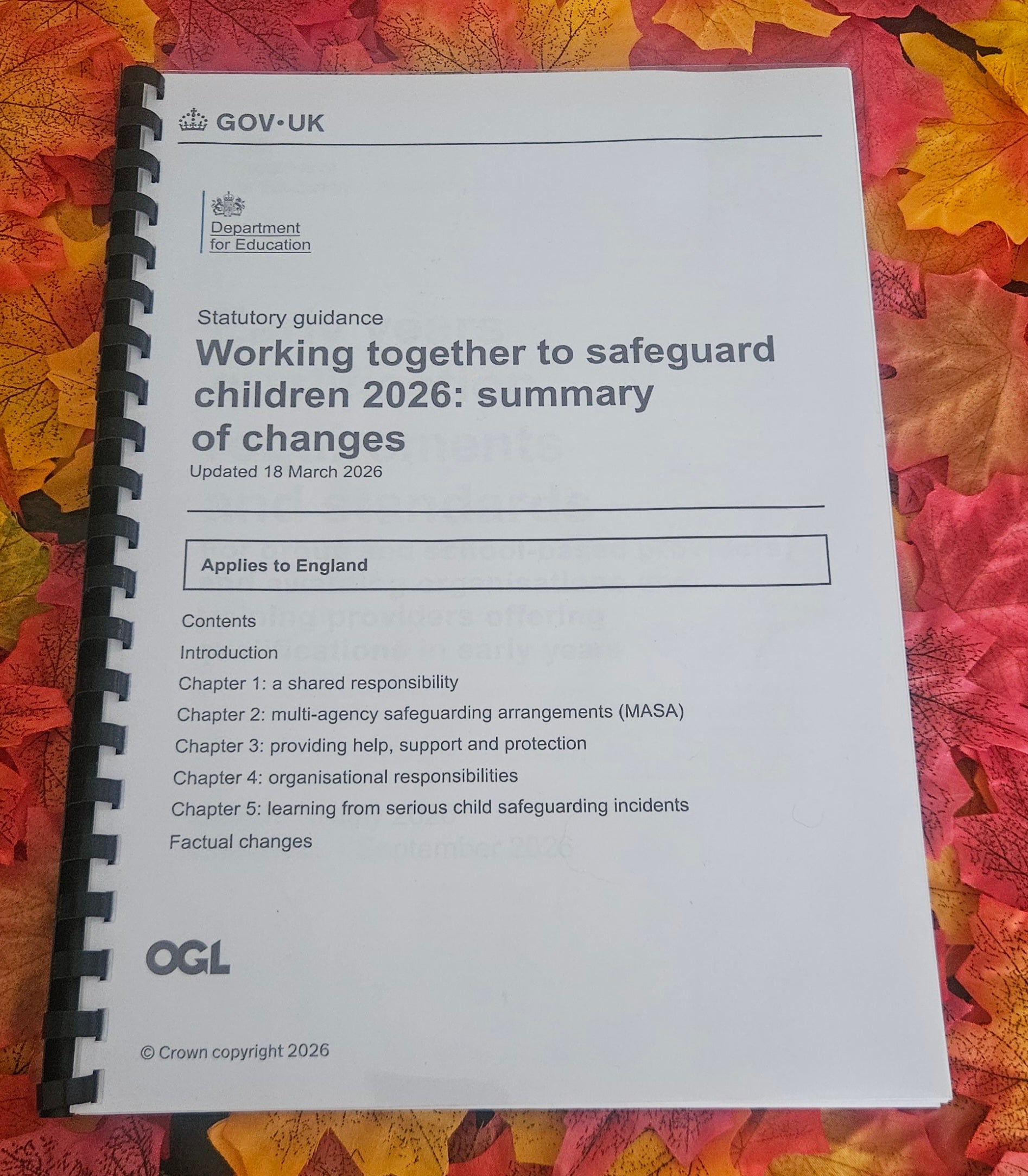 Printed Working Together to Safeguard Children Handbook | Bound Edition with Free UK Delivery