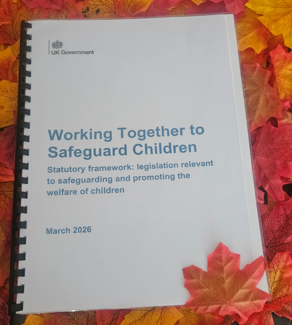 Printed Working Together to Safeguard Children Handbook | Bound Edition with Free UK Delivery