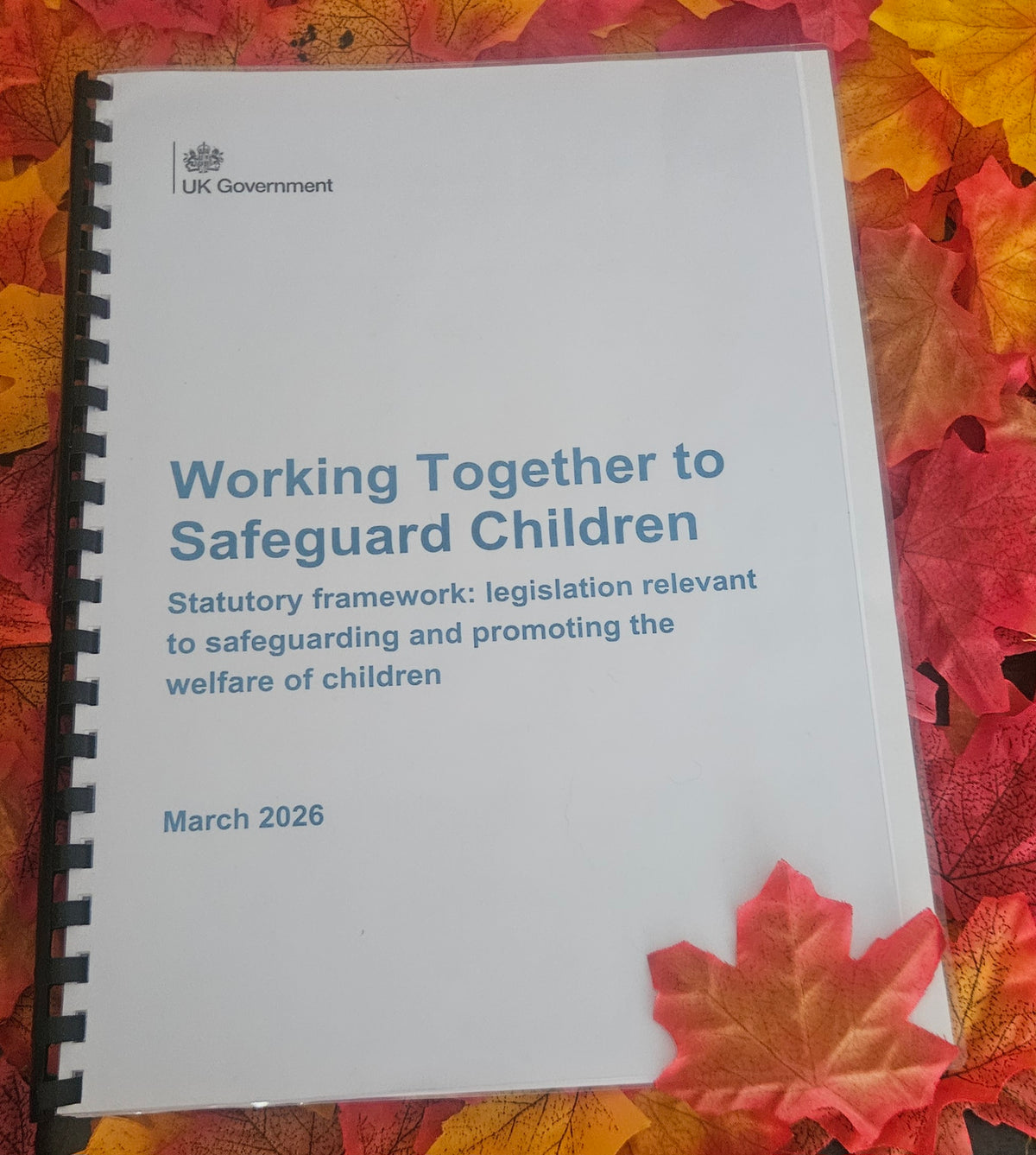 Printed Working Together to Safeguard Children Handbook | Bound Edition with Free UK Delivery