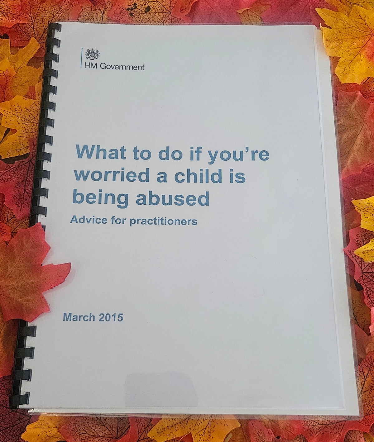 Printed What to Do If You're Worried a Child Is Being Abused Guidance | Bound Edition with Free Laminated Action Summary & Free Shipping