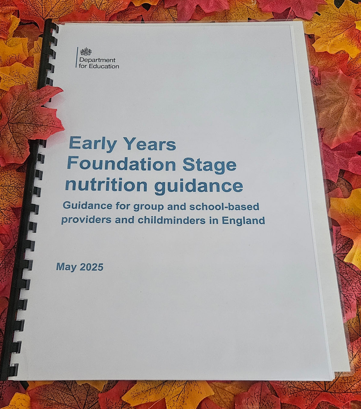 Printed Early Years Foundation Stage (EYFS) Nutrition Guidance Handbook | Bound Edition with Free UK Delivery