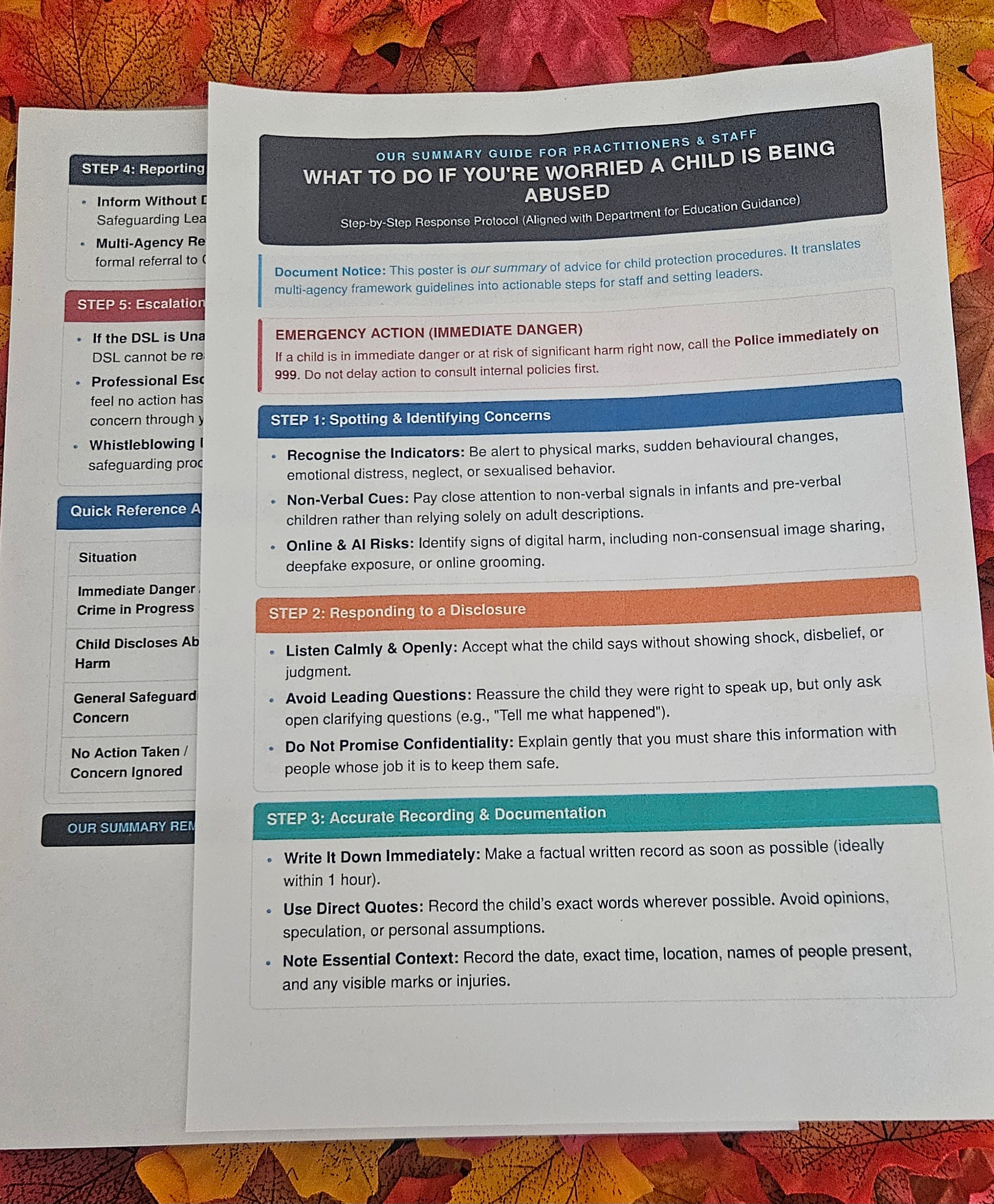 Printed What to Do If You're Worried a Child Is Being Abused Guidance | Bound Edition with Free Laminated Action Summary & Free Shipping