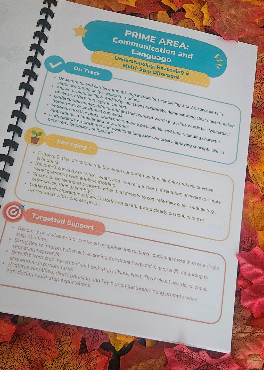 EYFS Observation & Reporting Statement Bank (Birth to 5 Years)