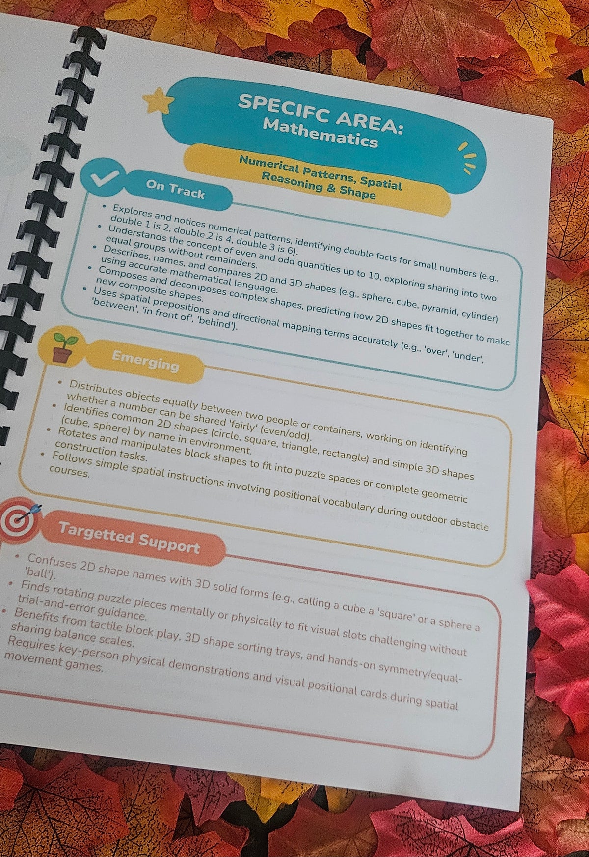 EYFS Observation & Reporting Statement Bank (Birth to 5 Years)