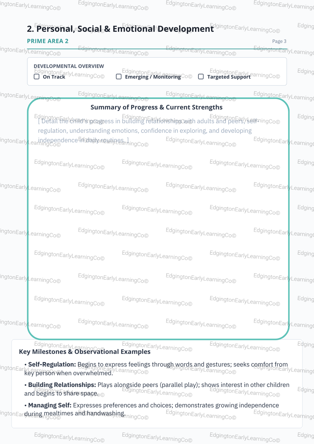 EYFS 2 Year Progress Check Template Digital Download