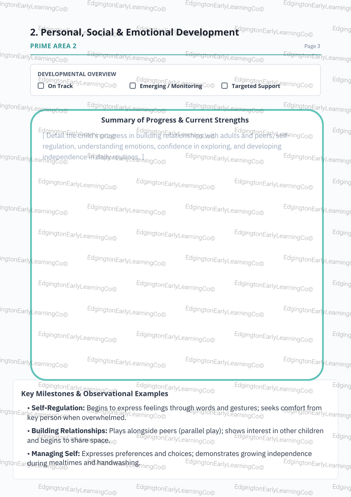 EYFS 2 Year Progress Check Template Digital Download