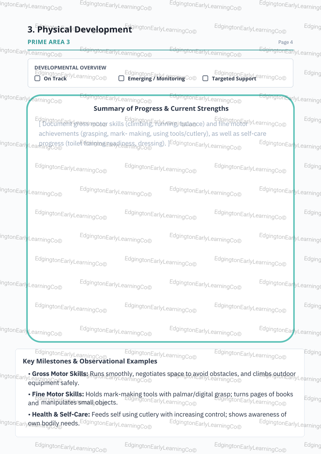 EYFS 2 Year Progress Check Template Digital Download