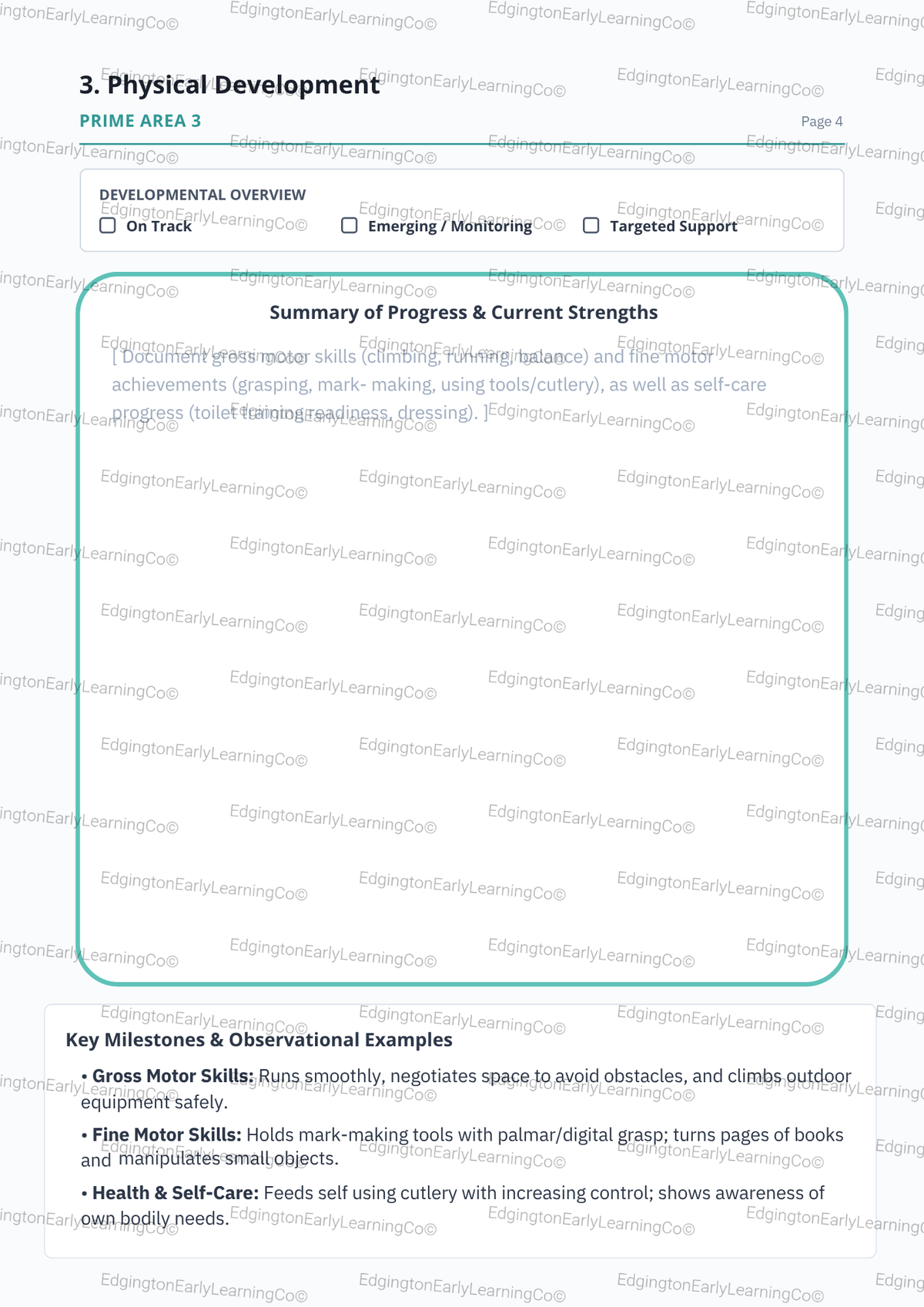 EYFS 2 Year Progress Check Template Digital Download