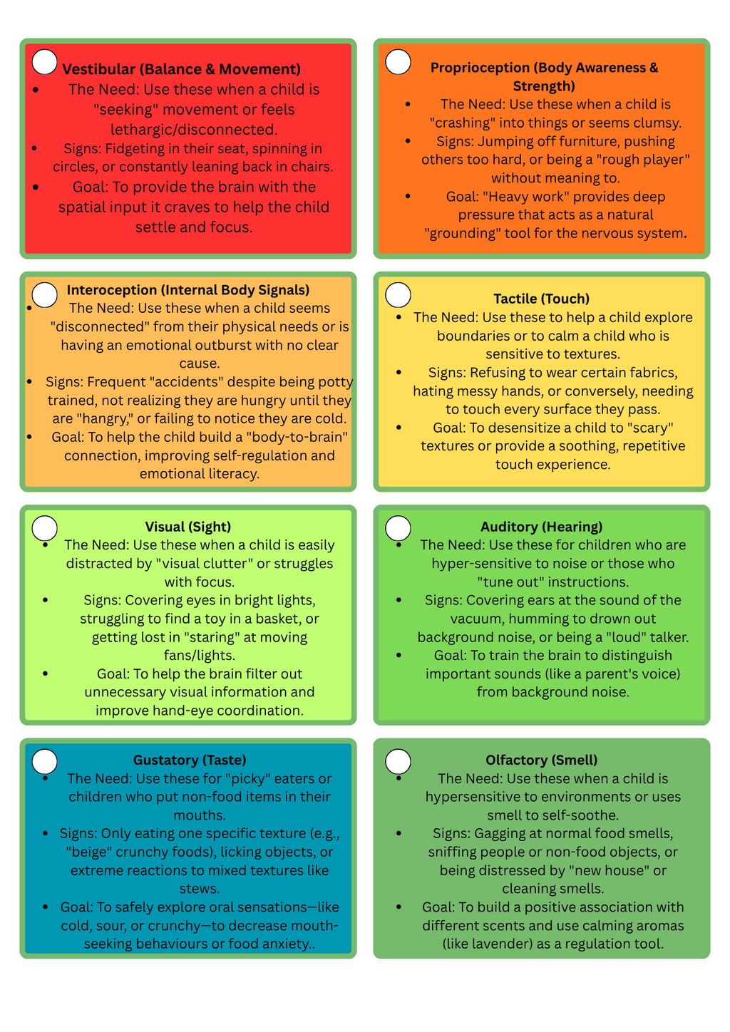 Educational chart detailing various sensory needs with colorful labels.