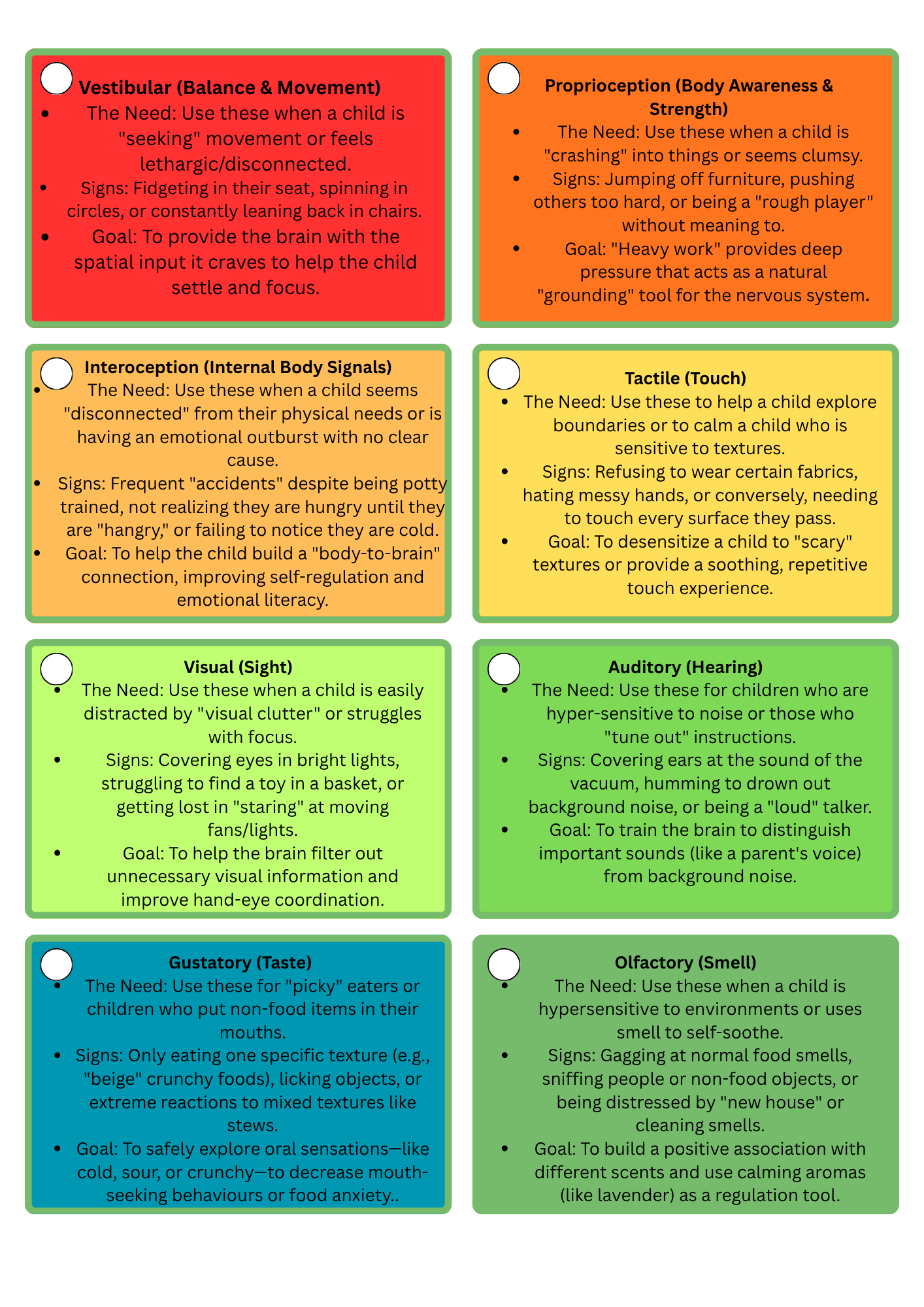 Educational chart detailing various sensory needs with colorful labels.