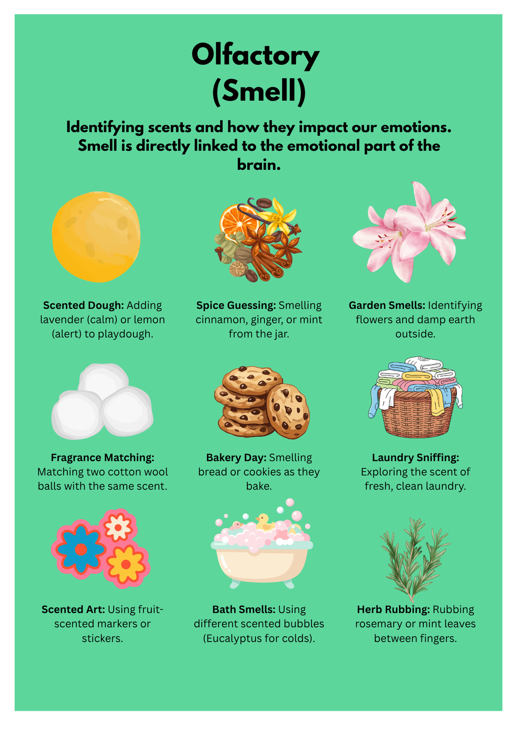 Infographic about olfactory senses with various activities on a green background